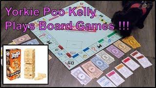 Cute Puppy Video Compilation: Yorkie Poo Kelly Plays Board Games