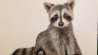 Baby Raccoon Acrylic Painting LIVE Tutorial